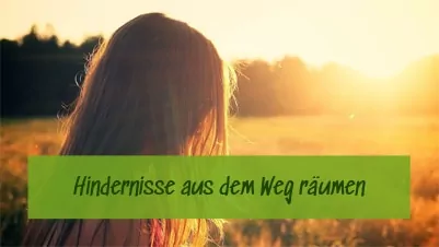 Einzelcoaching-in-der-Natur Einzelcoaching in der Natur