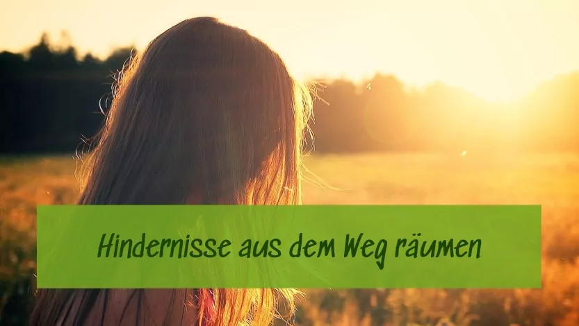 Einzelcoaching-in-der-Natur_Tablet Einzelcoaching in der Natur
