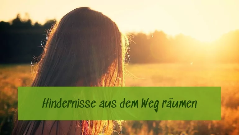Einzelcoaching_Tablet Einzelcoaching in der Natur